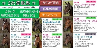 2次募集.jpg