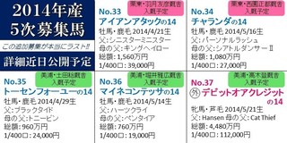 5次募集_3.jpg
