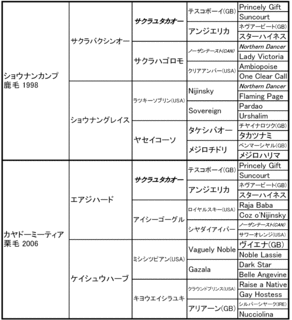 カヤドーミーティアの12_血統表.gif