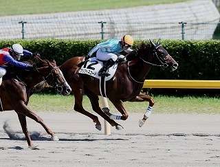クリプトスコード(20160828).jpg