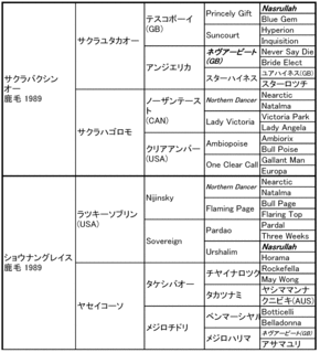 ショウナンカンプ_血統表.gif