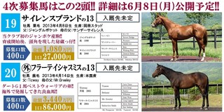 ノルマンディー4次募集.jpg