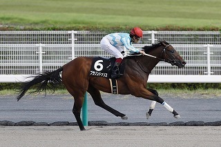 ブラゾンドゥリス(20160723).jpg