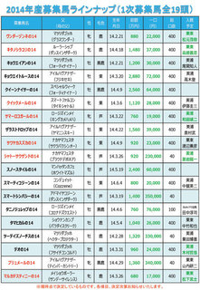 ラインナップ_3.jpg