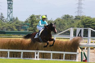IMG_20180806_224407.jpg