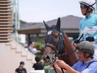 IMG_20180908_122736.jpg