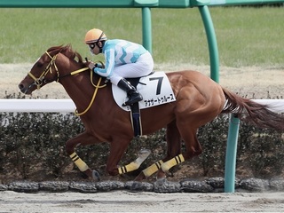 500万下_アナザートゥルース.jpg