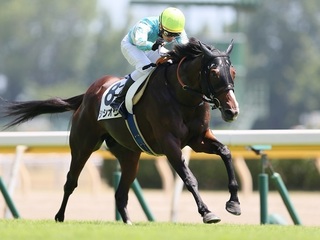 シシオウ(20180804).jpg