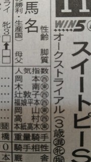 新聞(スイートピーS)_4.jpg